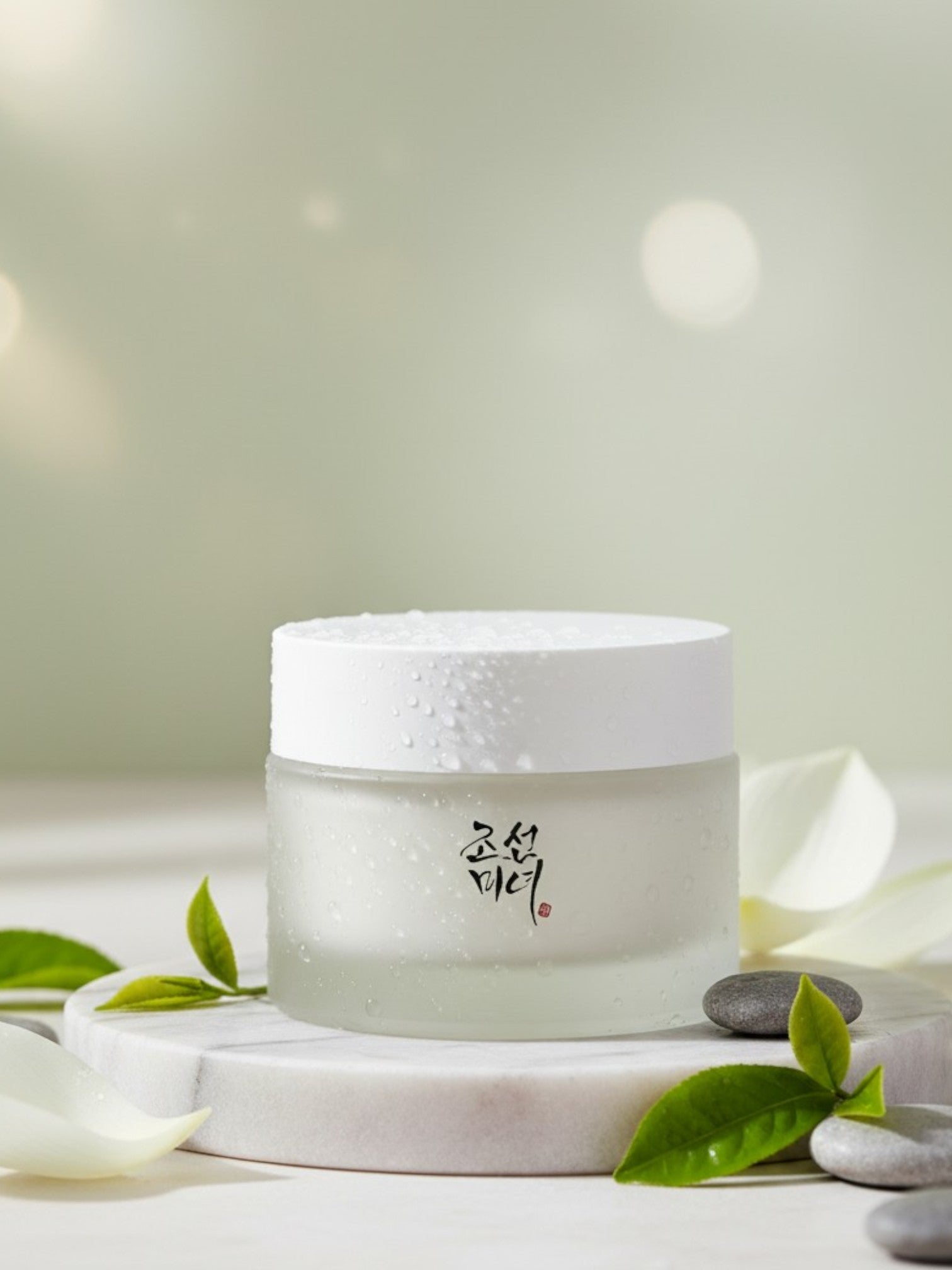 Skincare jar with green leaves and stones on a light background. Anua, Monza Outlet, Monza Fashion, Shein Outlet