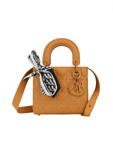 Mini Lady Dior