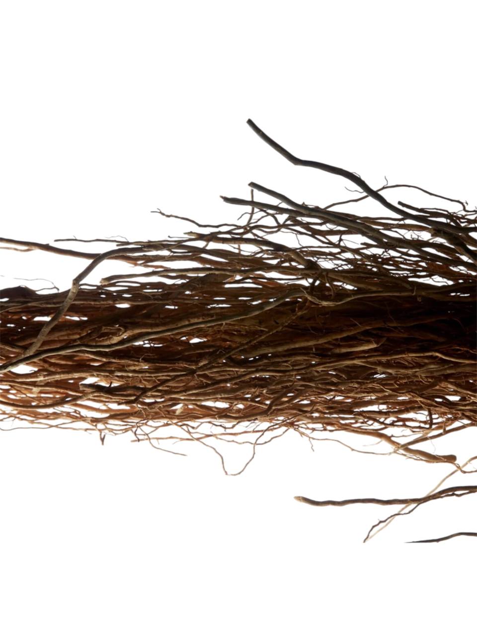 Twigs on a white background Monza outlet, monza fashion, shein outlet, shien outlet