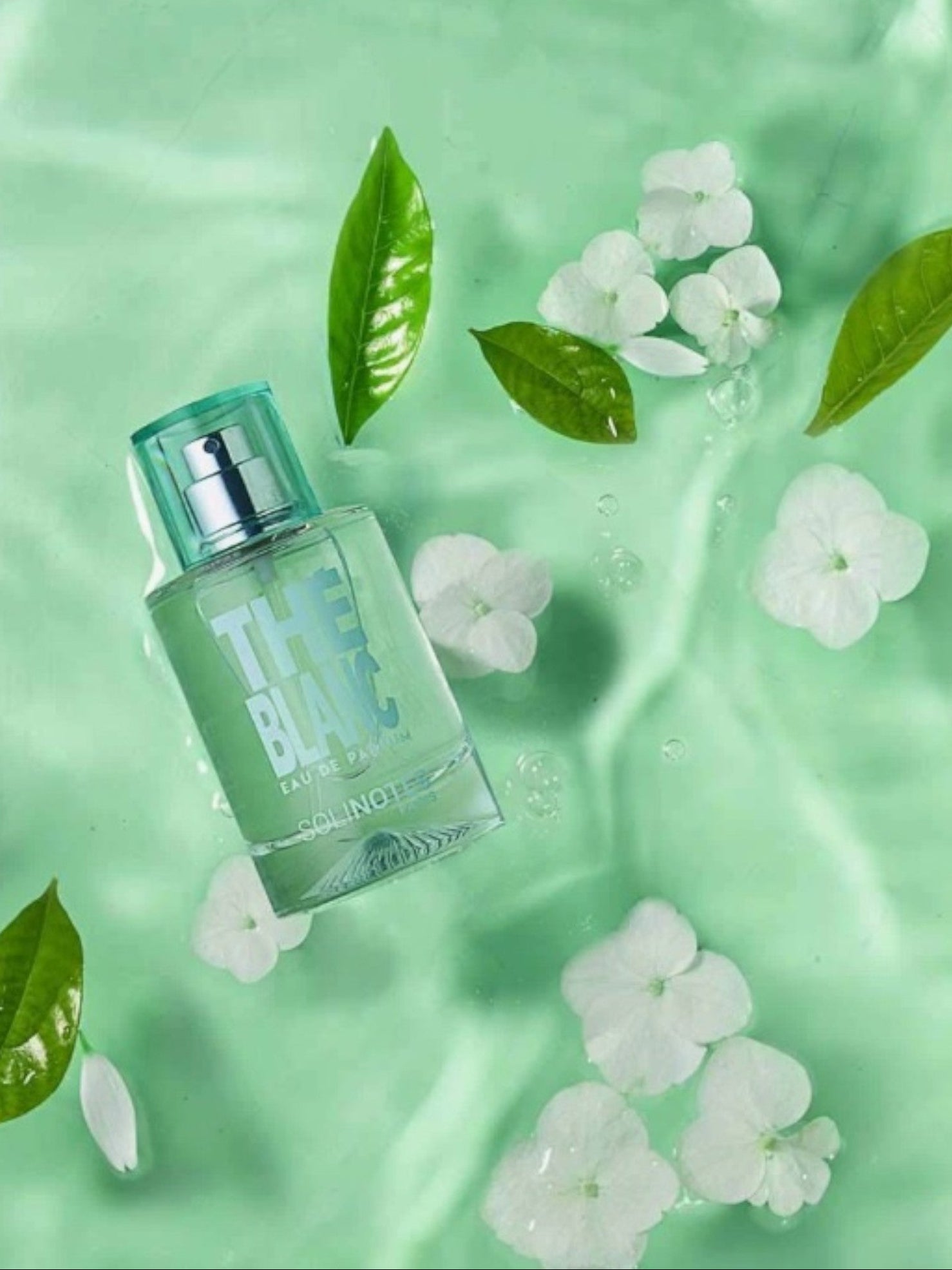 Green perfume bottle with floral elements on a green background. Solinotes, Monza Outlet, Monza Fashion, Shein Outlet