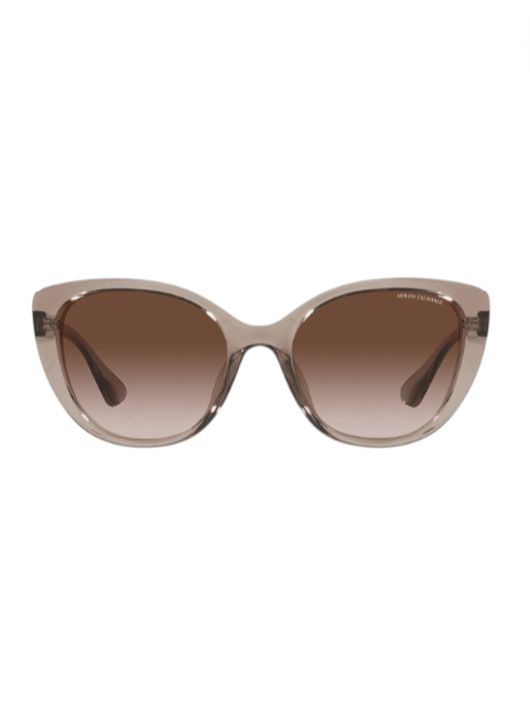 Sunglasses with a gradient brown lens on a white background Monza Outlet