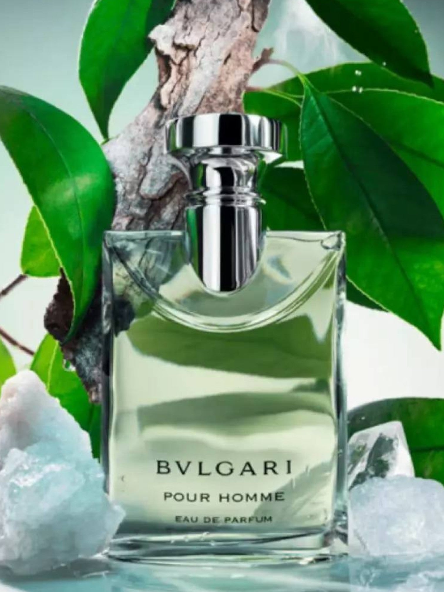 Bulgari Pour Homme perfume bottle with green leaves and ice cubes in the background. Bvlgari, Monza Outlet, Monza Fashion, Shein Outlet