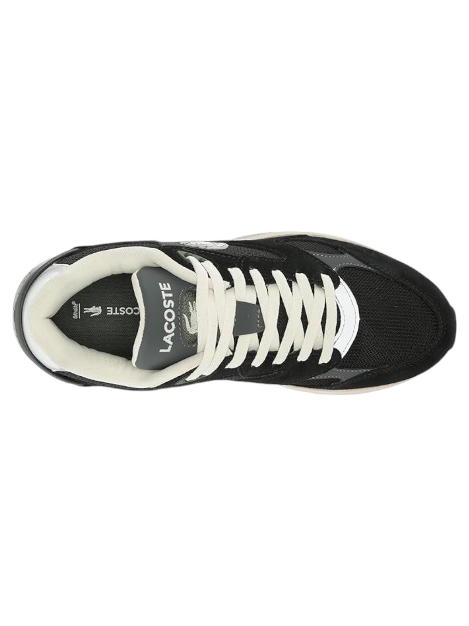STORM 96 LO VTG 223 1 SMA