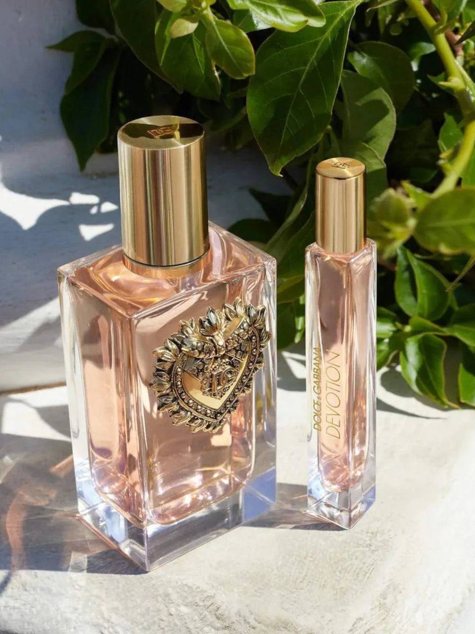 Two perfume bottles with gold caps on a light surface with green leaves in the background. Dolce & Gabbana, Monza Outlet, Monza Fashion, Shein Outlet