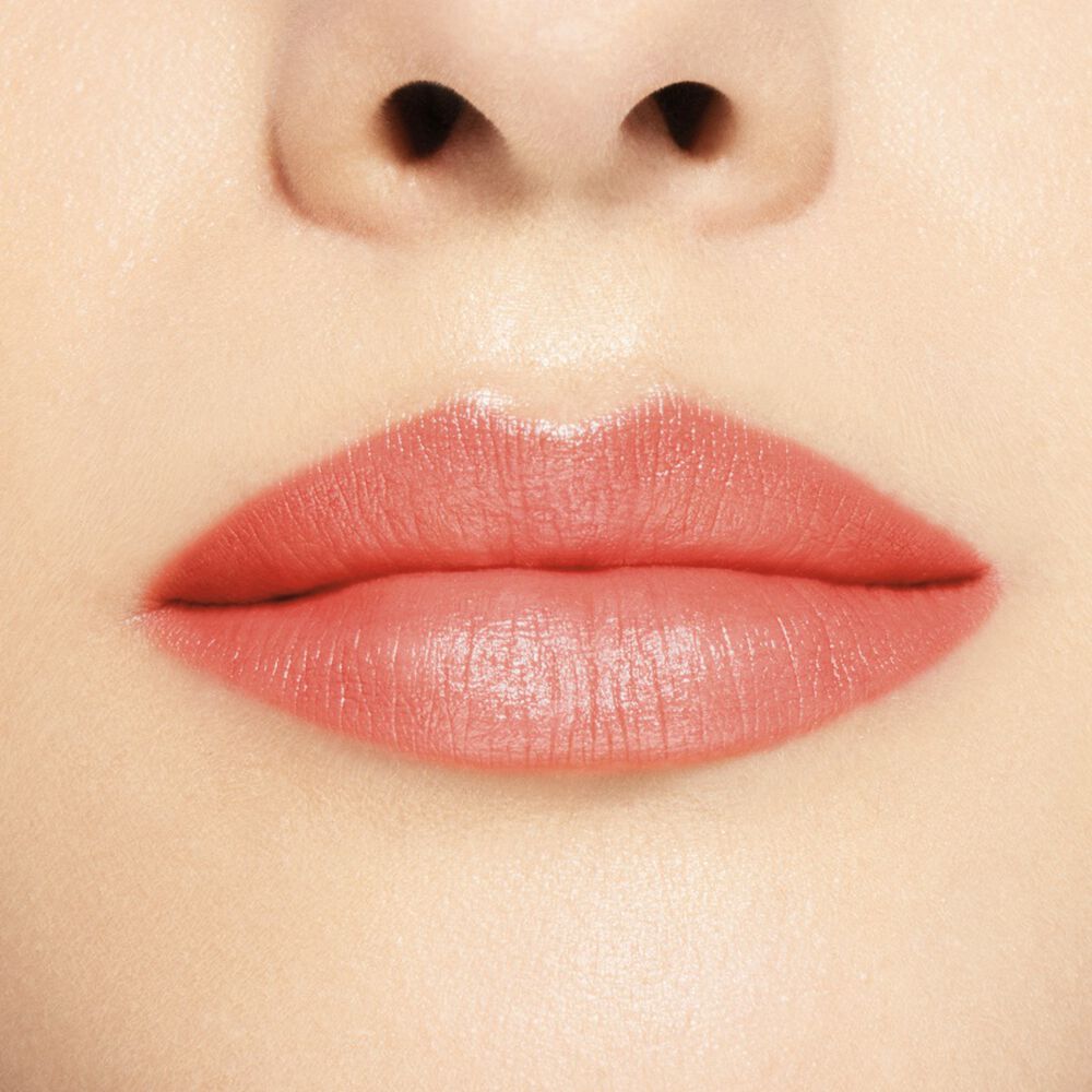 VisionAiry Gel Lipstick