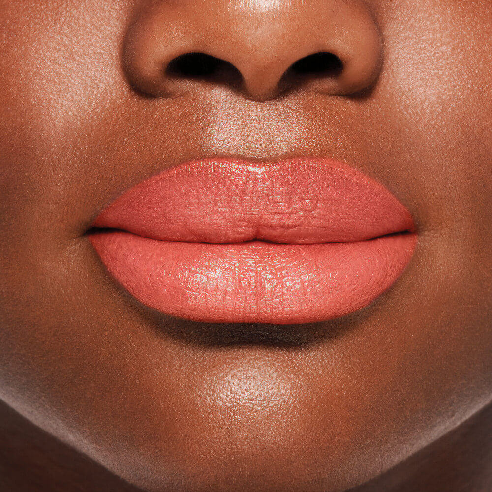 VisionAiry Gel Lipstick
