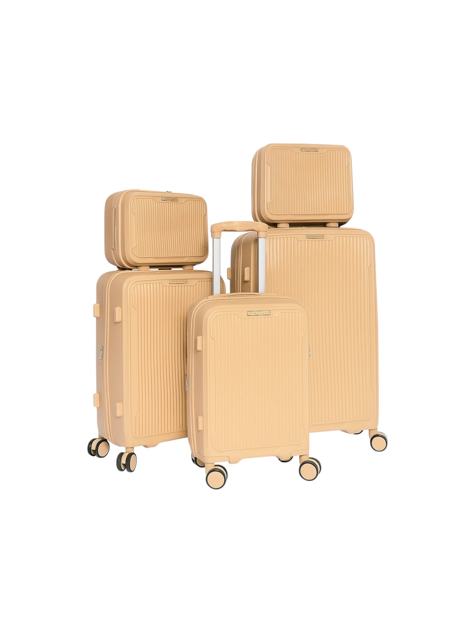 5 Piece Spinner Travel Bag Set