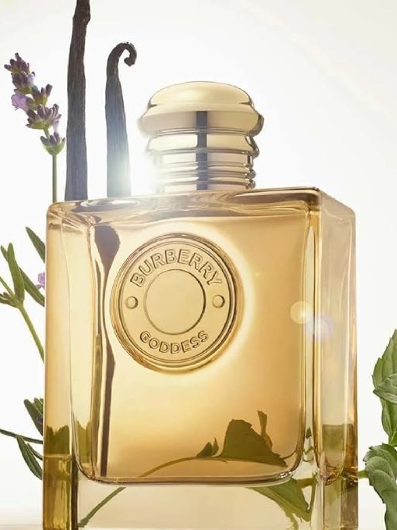 Burberry Goddess perfume bottle with lavender and vanilla beans on a light background. Burberry, Monza Outlet, Monza Fashion, Shein Outlet