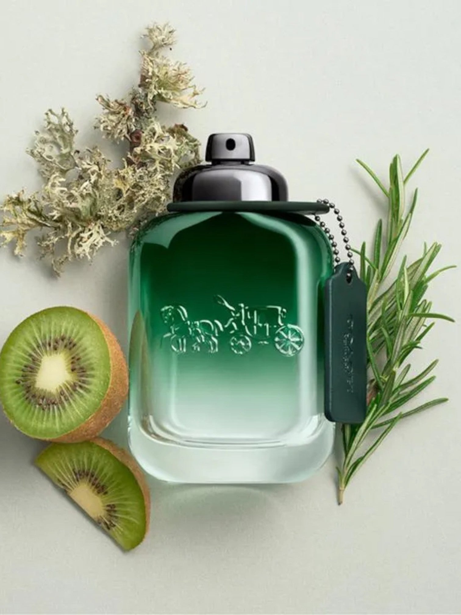 Green perfume bottle with kiwi slices and herbs on a light background. Coach, Monza Outlet, Monza Fashion, Shein Outlet