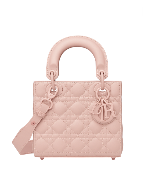 Mini Lady Dior