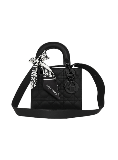 Mini Lady Dior