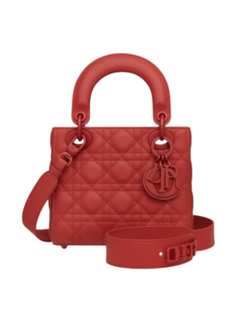 Mini Lady Dior