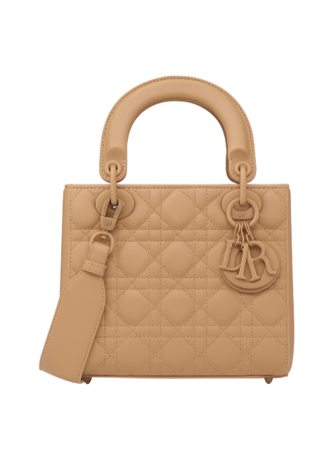 Mini Lady Dior