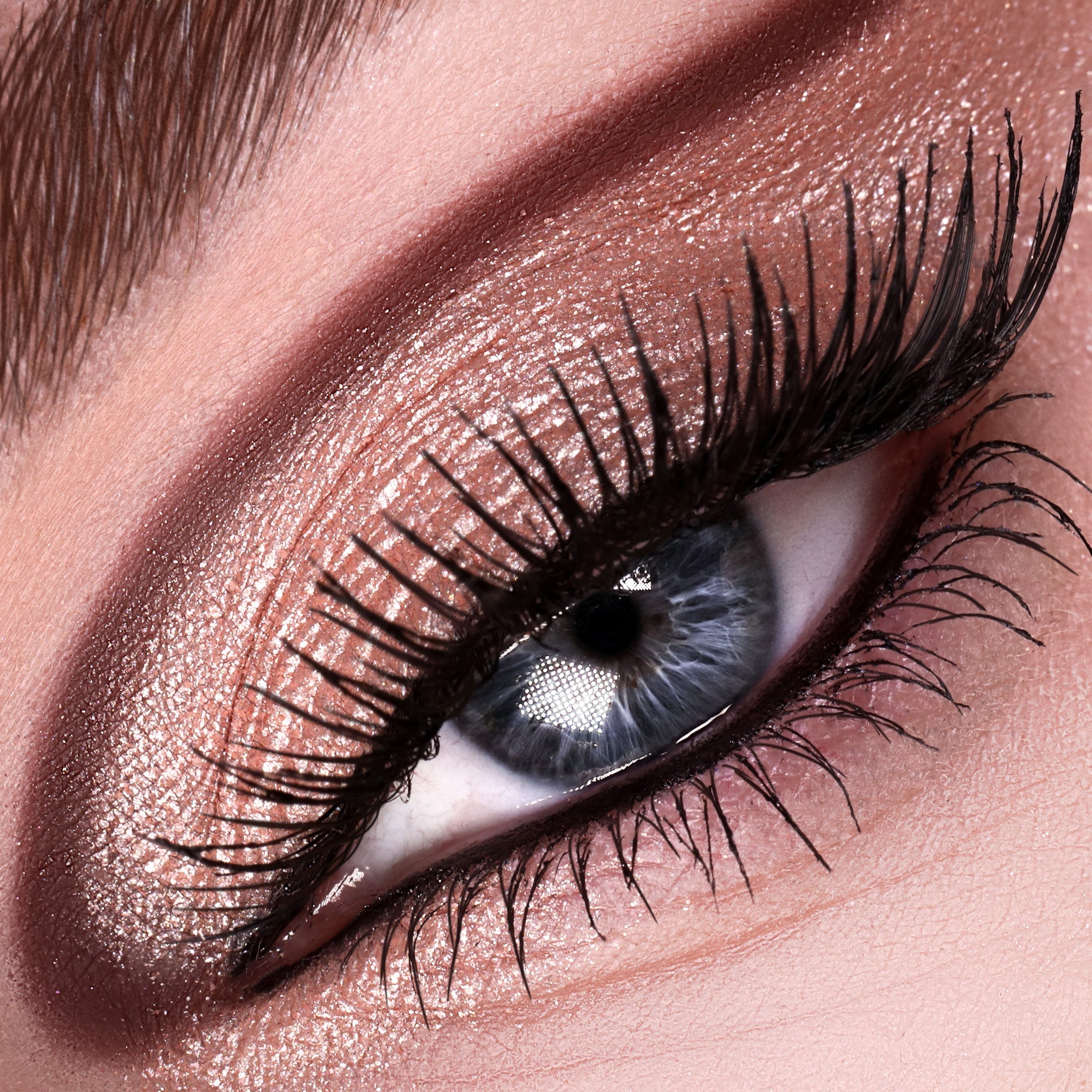 Eye Shadow Quad: Daring Desire