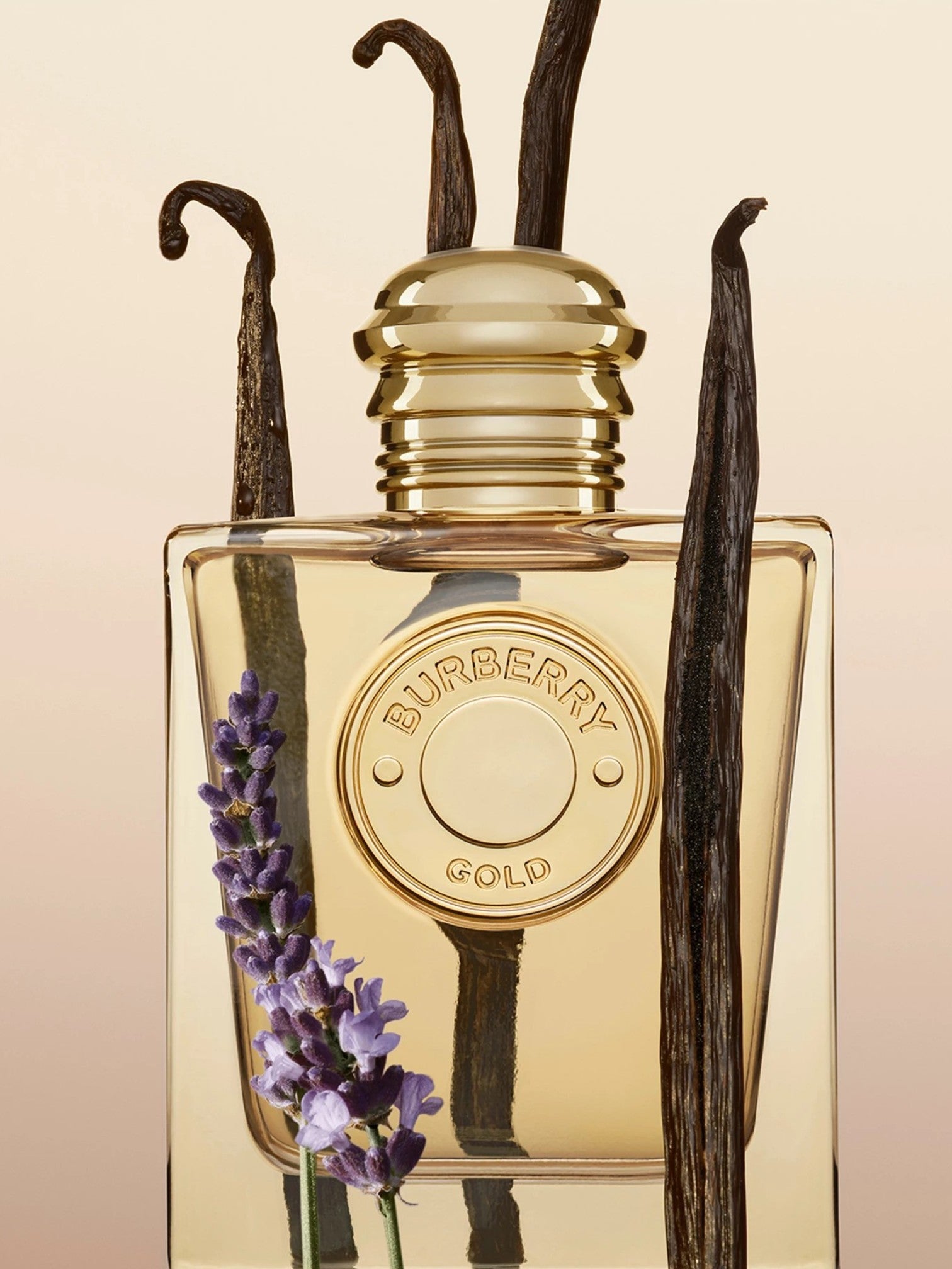 Burberry Gold perfume bottle with vanilla beans and lavender on a beige background. Burberry, Monza Outlet, Monza Fashion, Shein Outlet