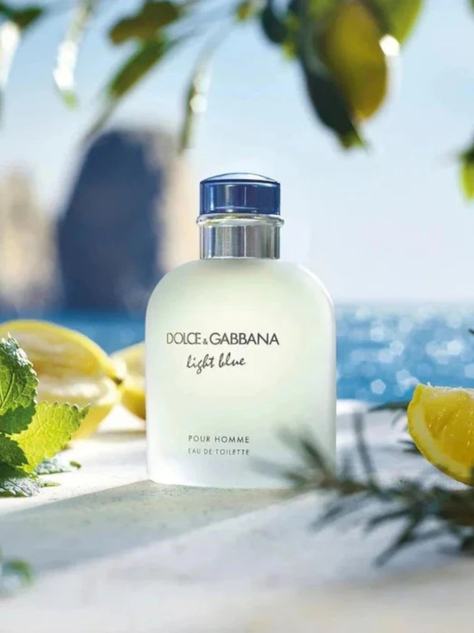 Dolce & Gabbana Light Blue perfume bottle with lemons and greenery in the background Dolce Gabbana Monza Outlet