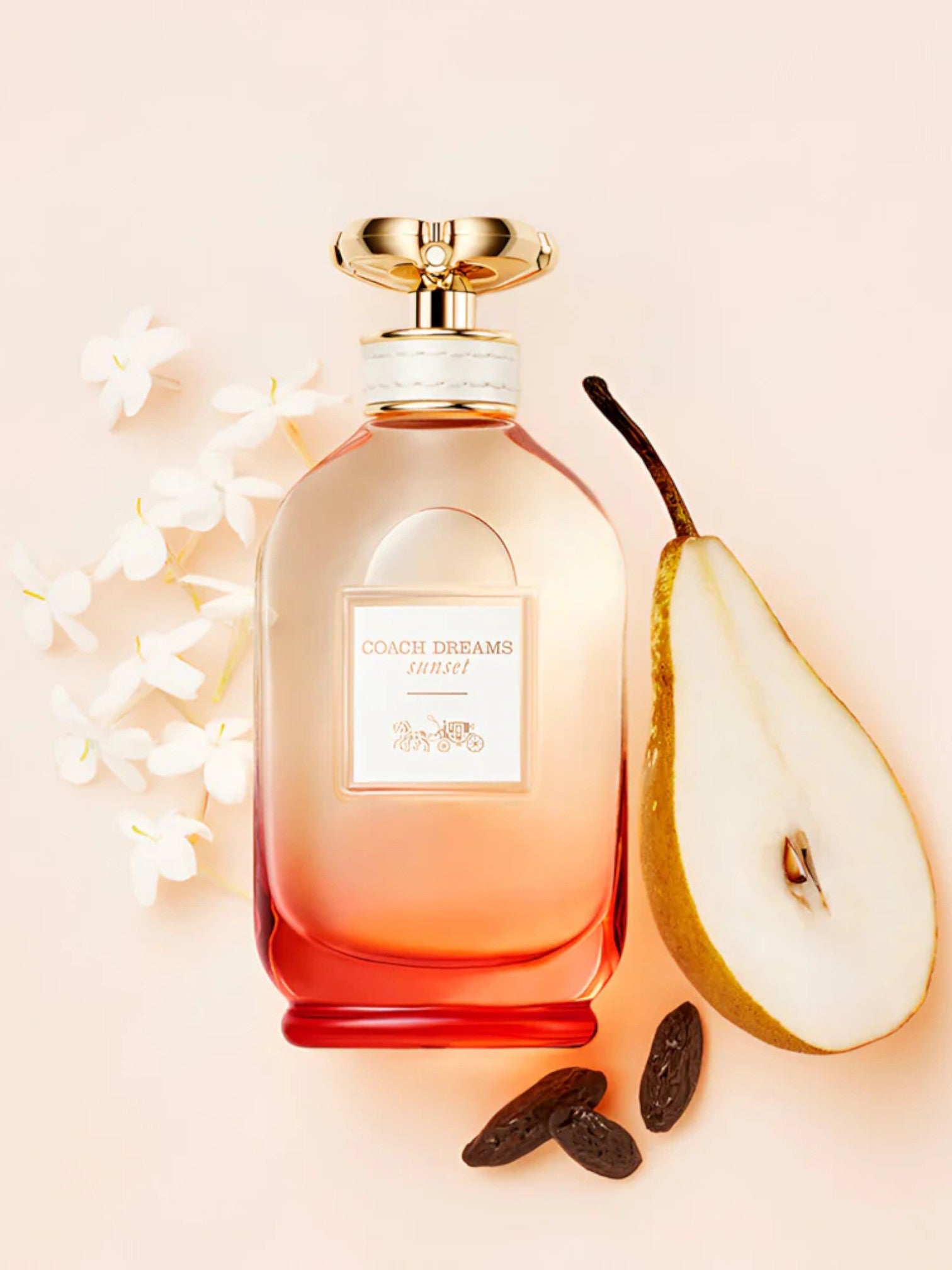 Coach Dreams perfume bottle with a pear and dark berries on a light background. Coach, Monza Outlet, Monza Fashion, Shein Outlet