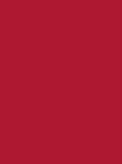 Joli Rouge Crayon